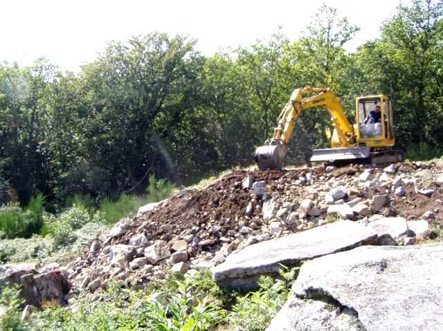 Enlarge P0609081543a.JPG