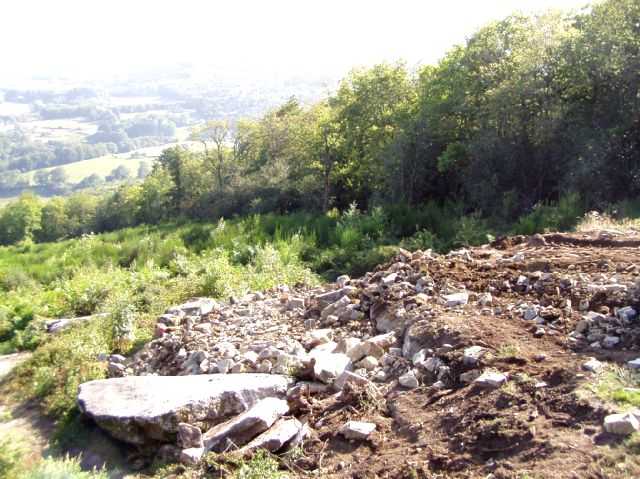 Enlarge P0609081727b.JPG