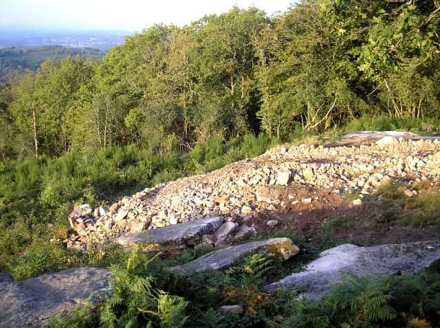 Enlarge P0609090812a.JPG