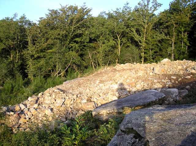 Enlarge P0609090813b.JPG