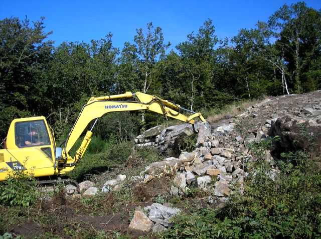 Enlarge P0609091016c.JPG