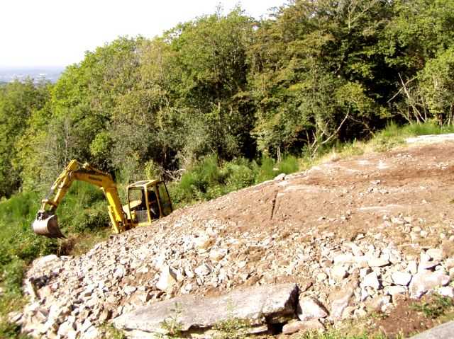 Enlarge P0609091017b.JPG