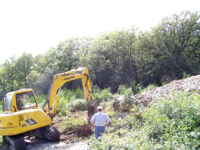 Enlarge P0609091610a.JPG