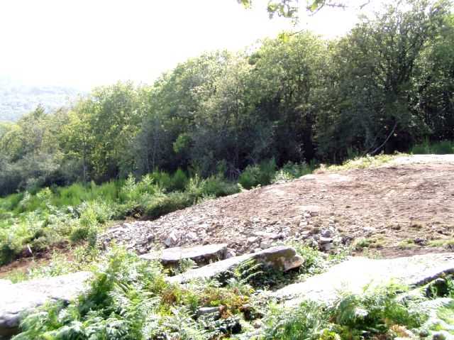 Enlarge P0609091655c.JPG