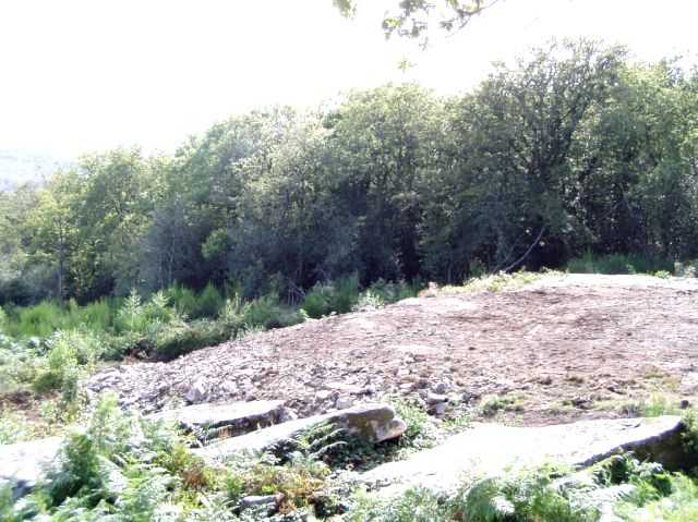 Enlarge P0609091656a.JPG