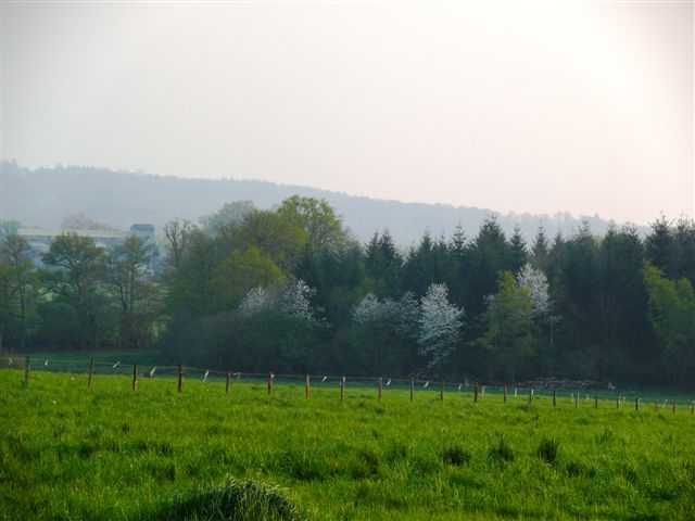 Enlarge Libarderie_Avril_2007_018.jpg