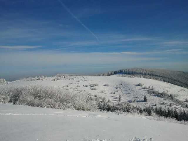 Enlarge 2010-12-04_14.16.47.jpg