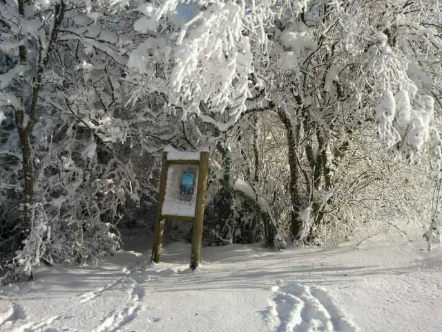 Enlarge 2010-12-04_14.49.36.jpg