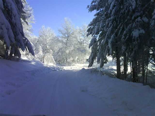 Enlarge DSC00426.JPG