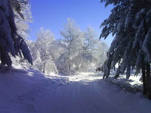 Enlarge DSC00427.JPG