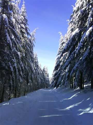 Enlarge DSC00428.JPG