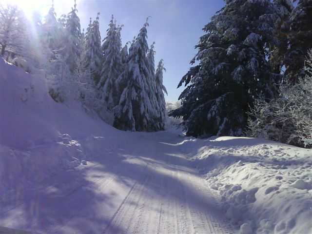 Enlarge DSC00429.JPG