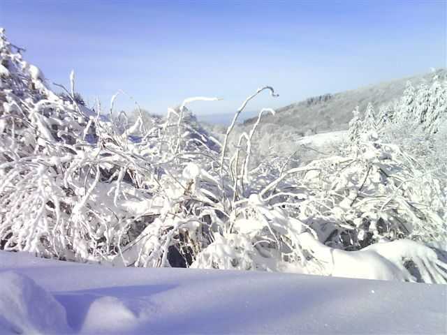 Enlarge DSC00430.JPG