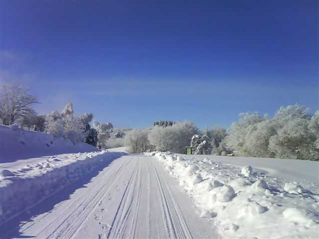 Enlarge DSC00431.JPG