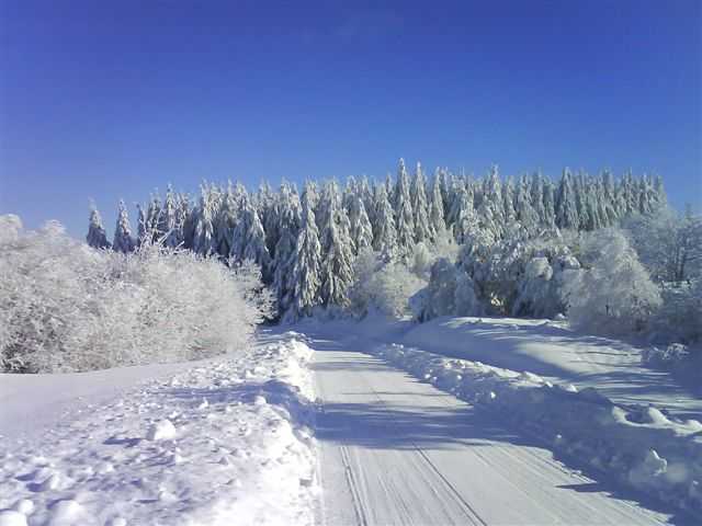 Enlarge DSC00432.JPG