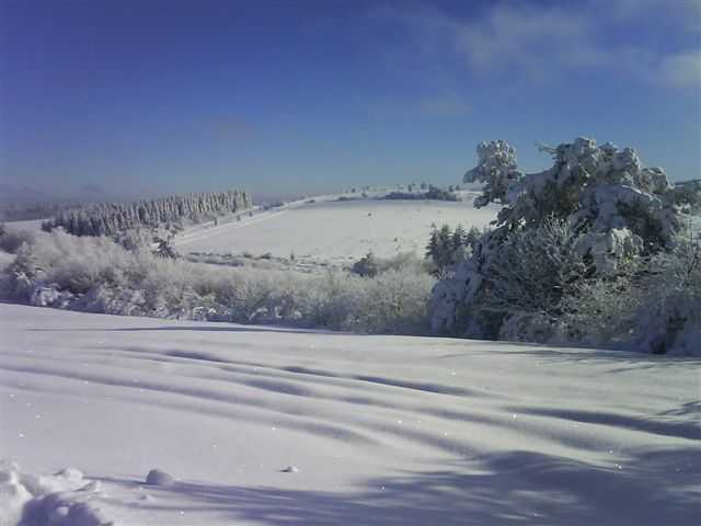 Enlarge DSC00435.JPG