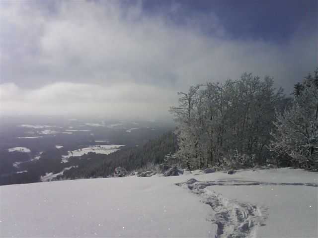 Enlarge DSC00438.JPG