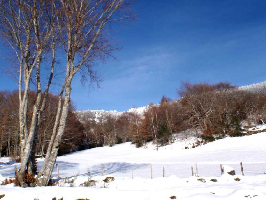 Enlarge PC040078.jpg