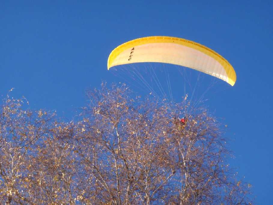 Enlarge PC040081.jpg