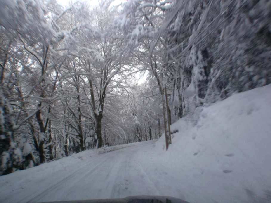 Enlarge PC040101.jpg