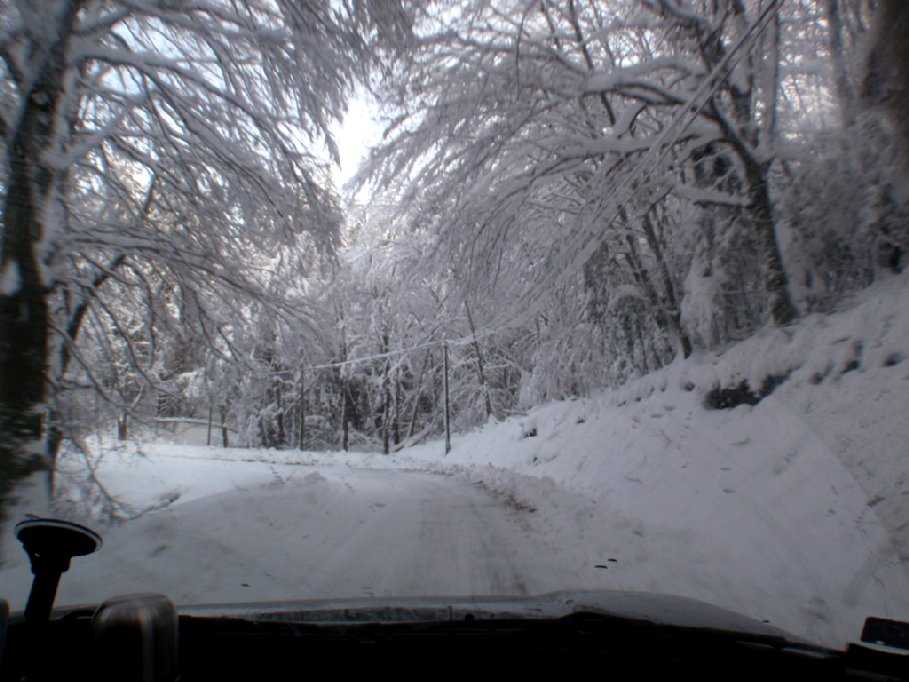 Enlarge PC040103.jpg