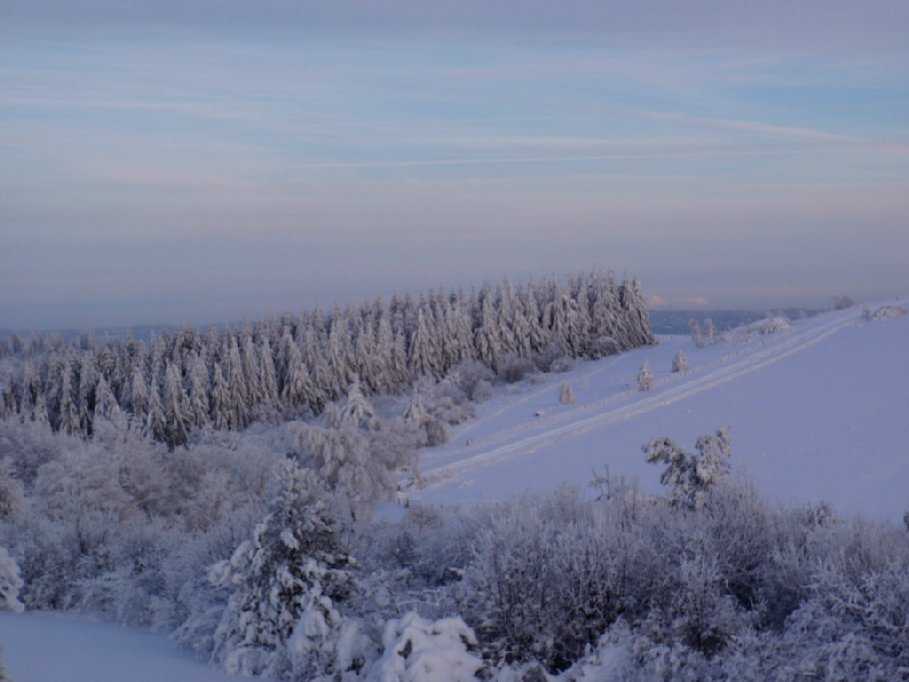 Enlarge PC040108.jpg