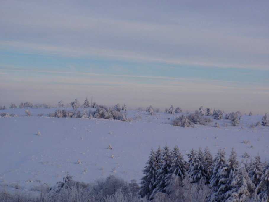 Enlarge PC040109.jpg