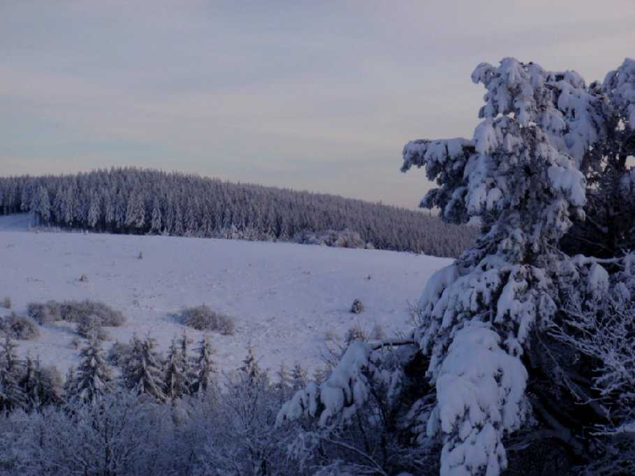 Enlarge PC040111.jpg