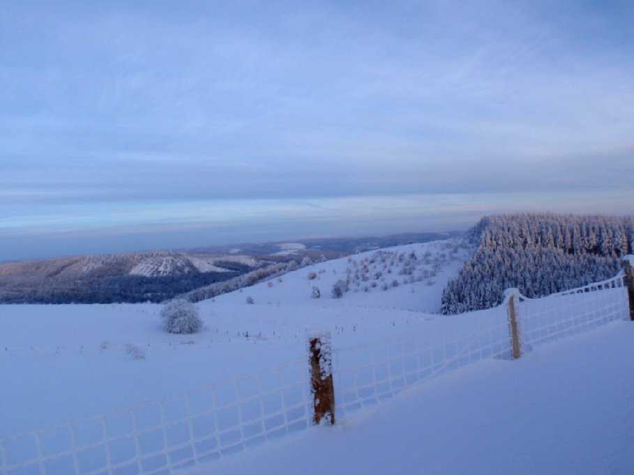 Enlarge PC040115.jpg