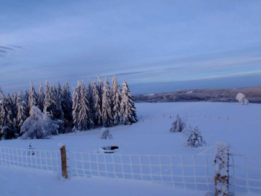 Enlarge PC040118.jpg