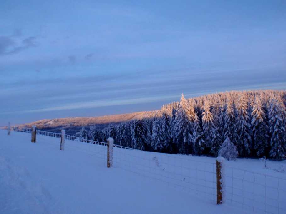 Enlarge PC040124.jpg