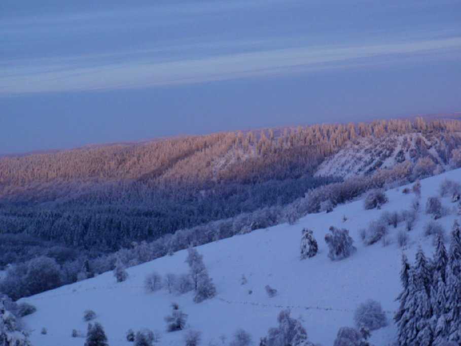 Enlarge PC040128.jpg