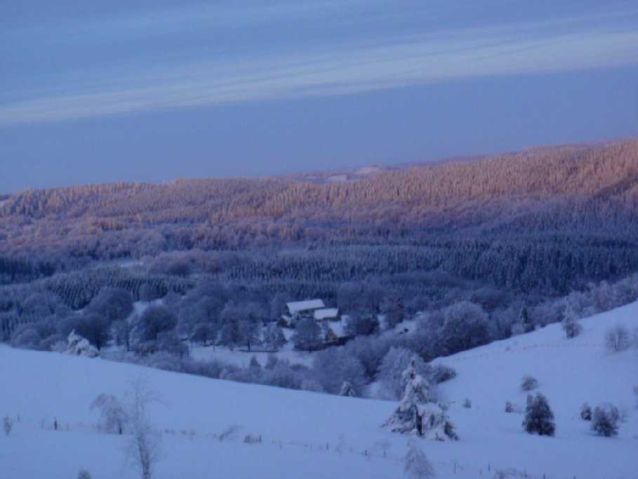 Enlarge PC040129.jpg