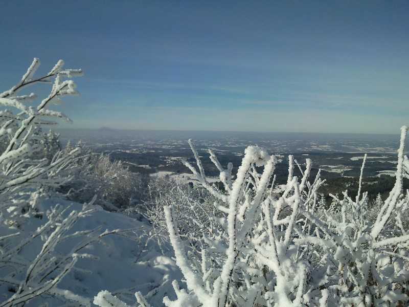 Enlarge SNC00726.jpg