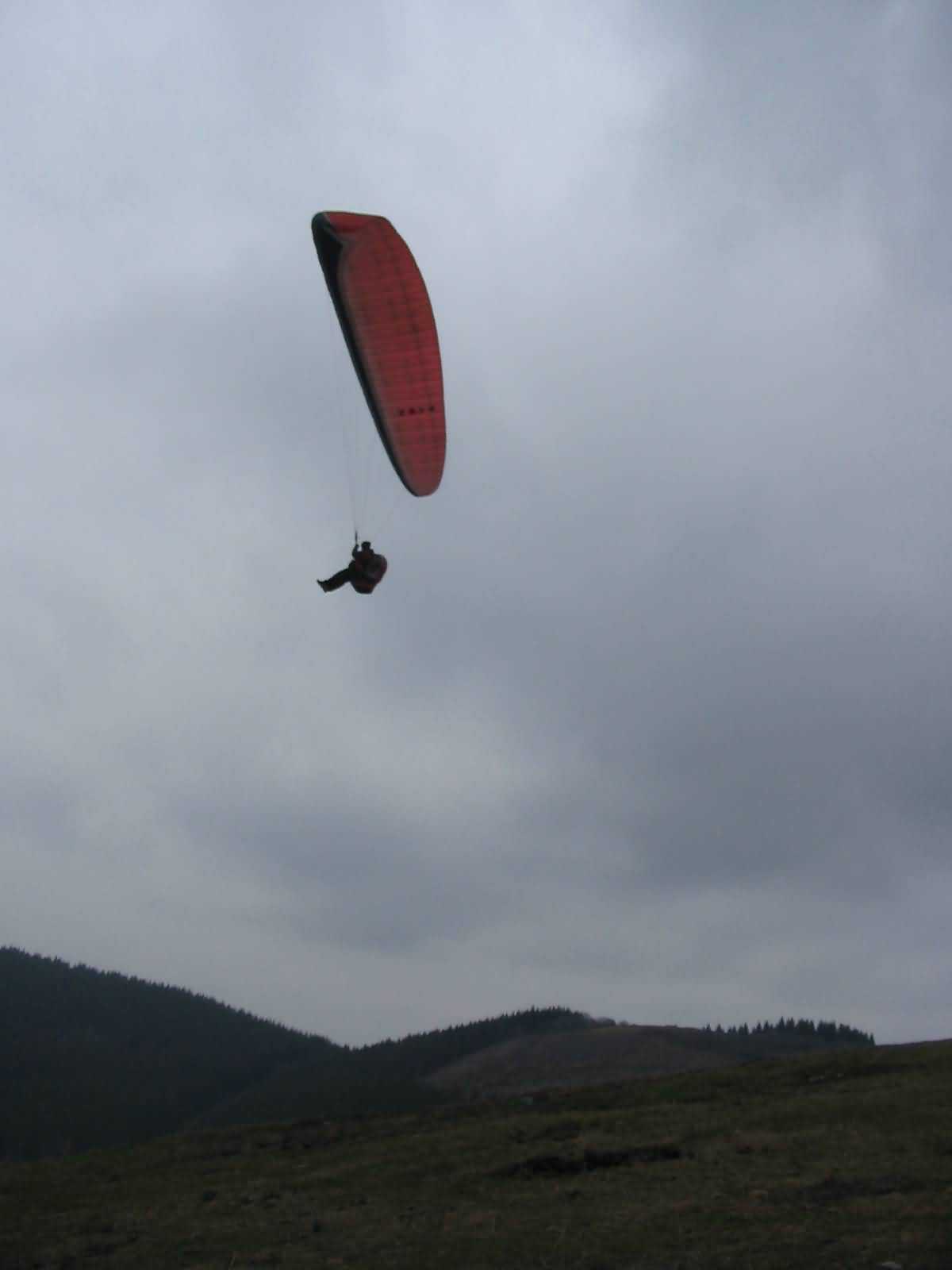 Enlarge mone220207_001.jpg