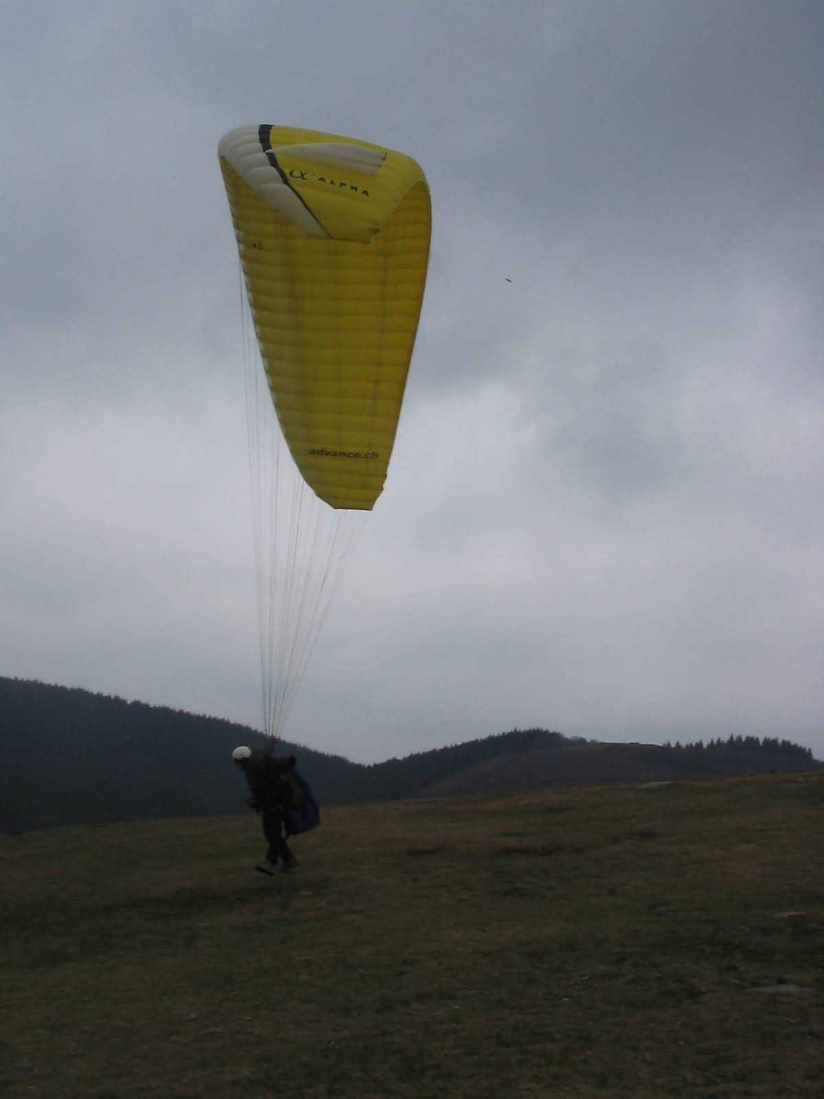 Enlarge mone220207_012.jpg