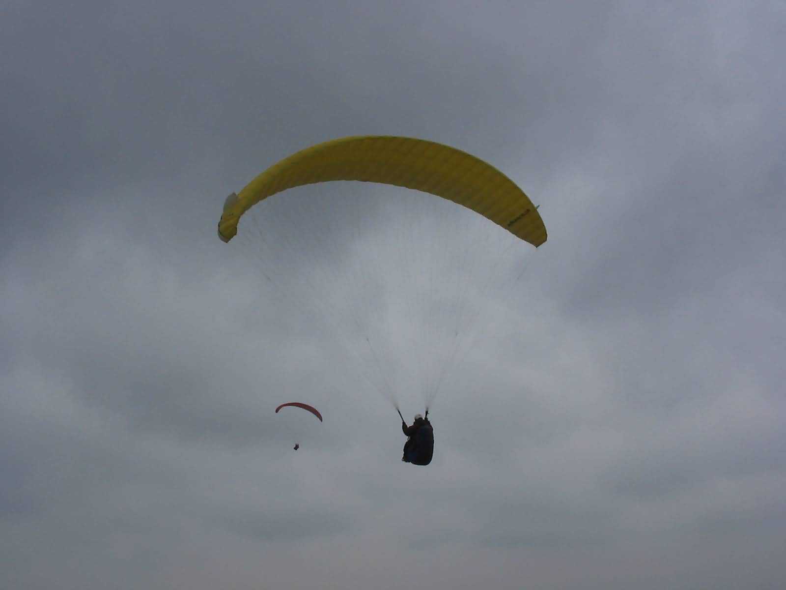 Enlarge mone220207_014.jpg