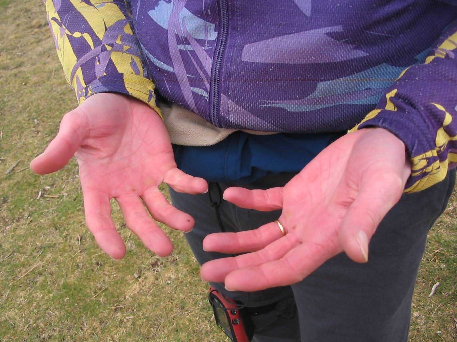 Enlarge mone220207_015.jpg