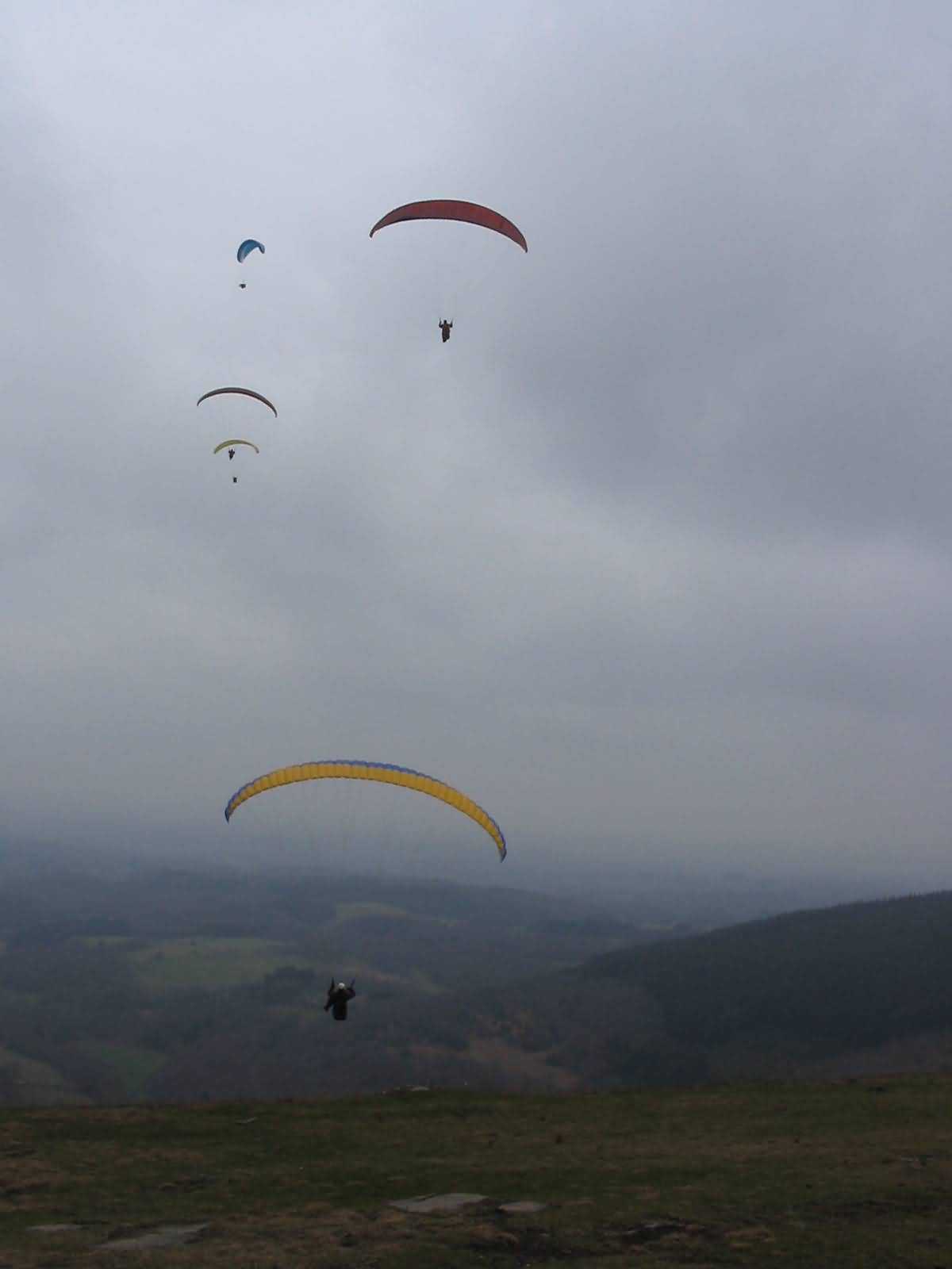 Enlarge mone220207_021.jpg