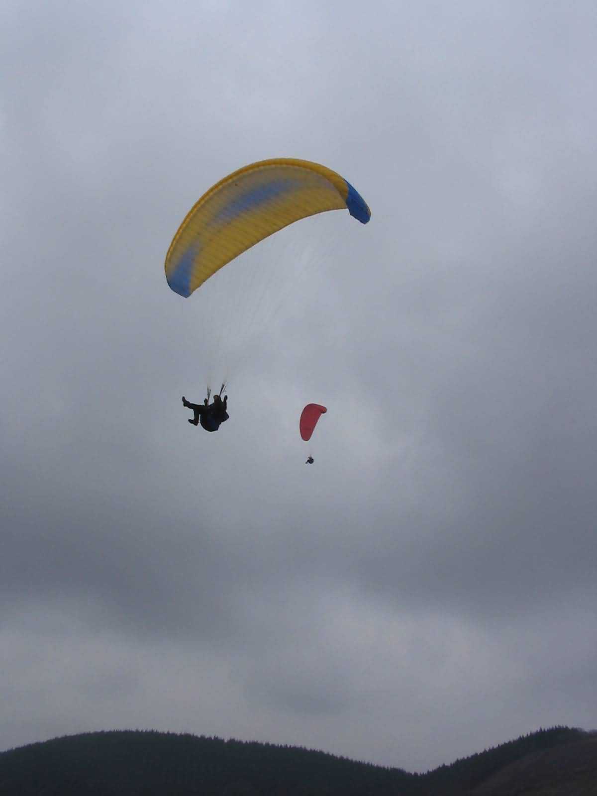 Enlarge mone220207_023.jpg