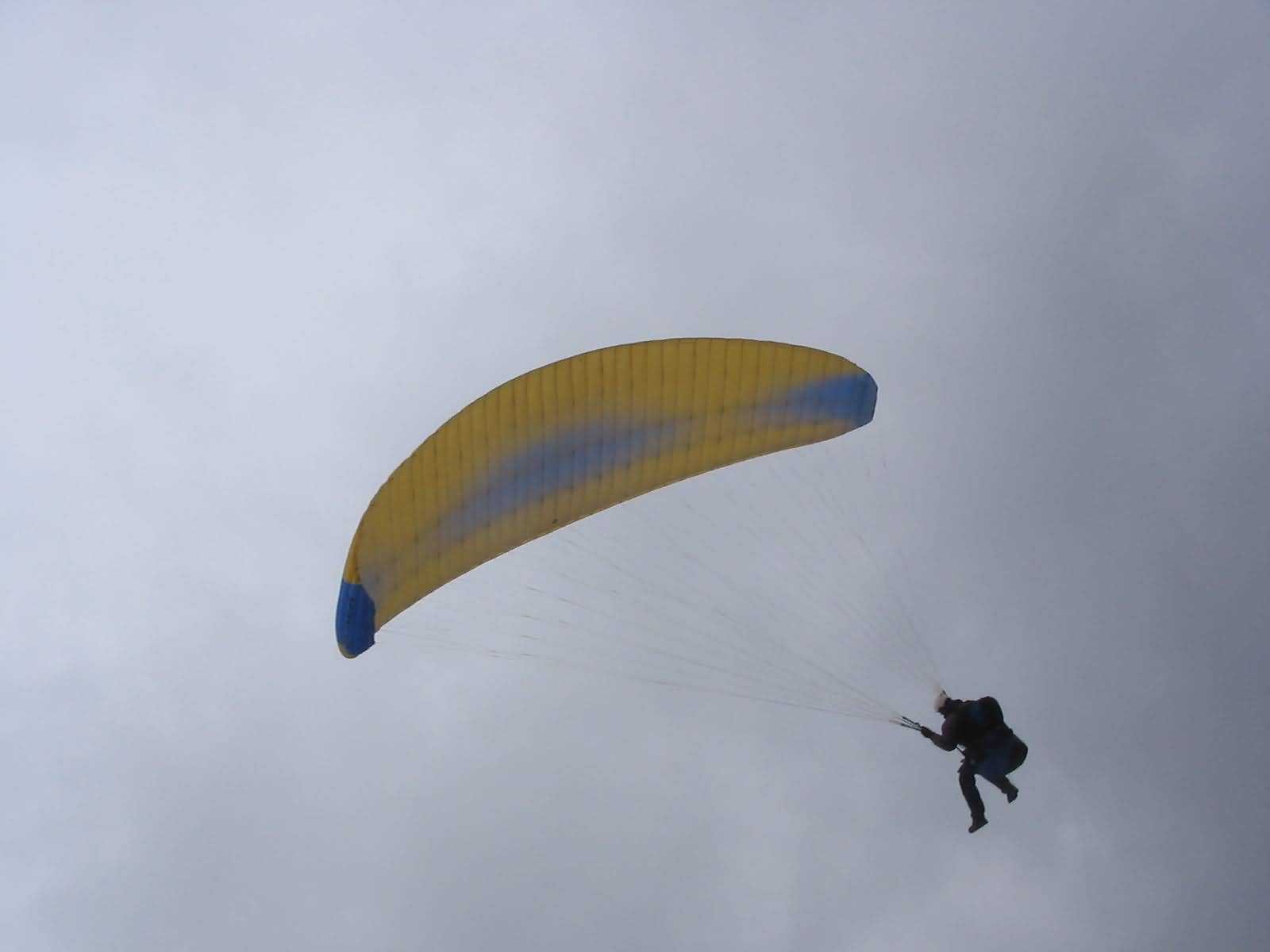 Enlarge mone220207_024.jpg