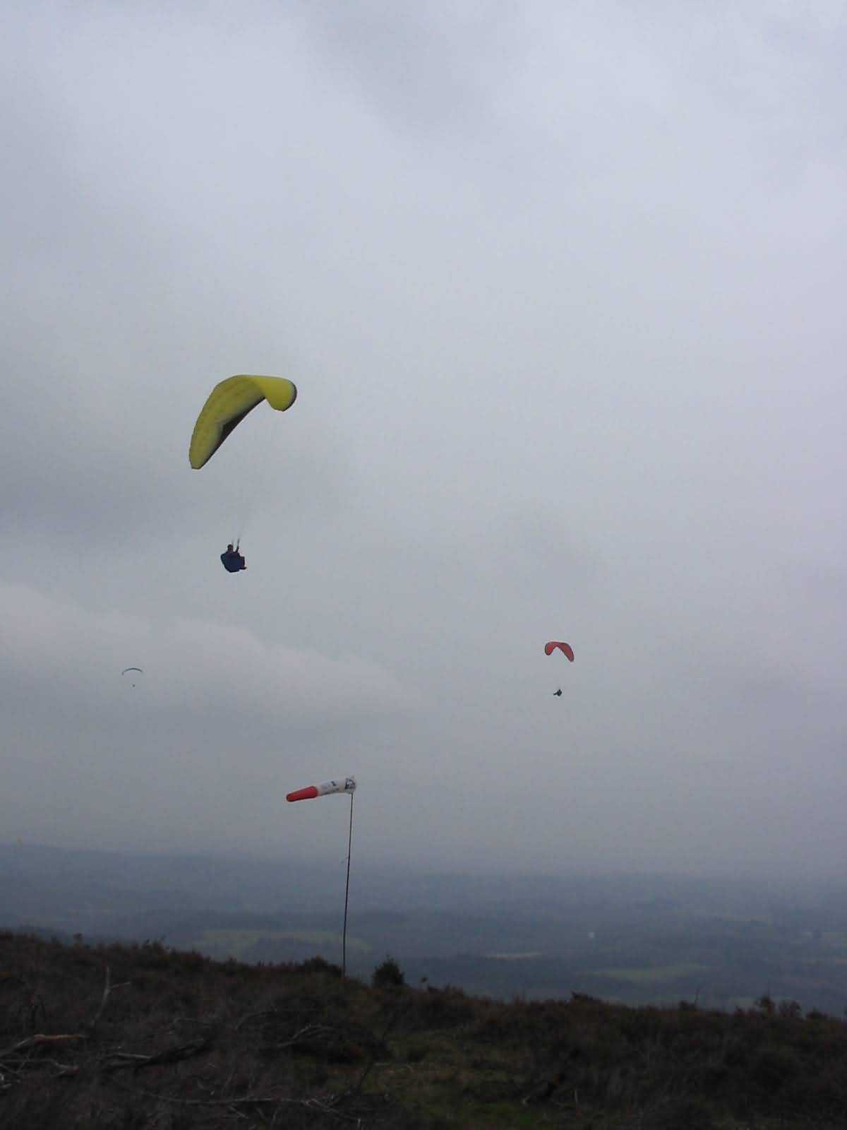 Enlarge mone220207_025.jpg