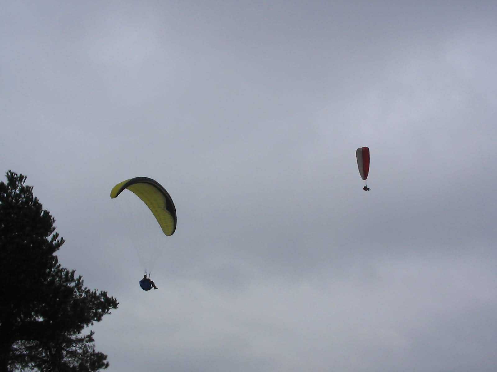 Enlarge mone220207_026.jpg