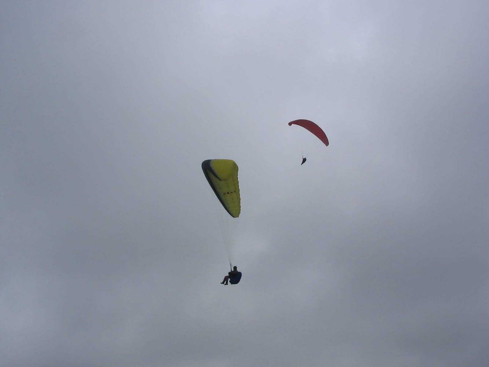 Enlarge mone220207_027.jpg