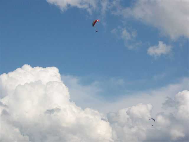 Enlarge mone1806_002.jpg