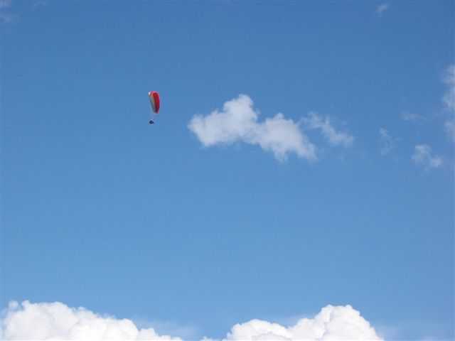 Enlarge mone1806_005.jpg