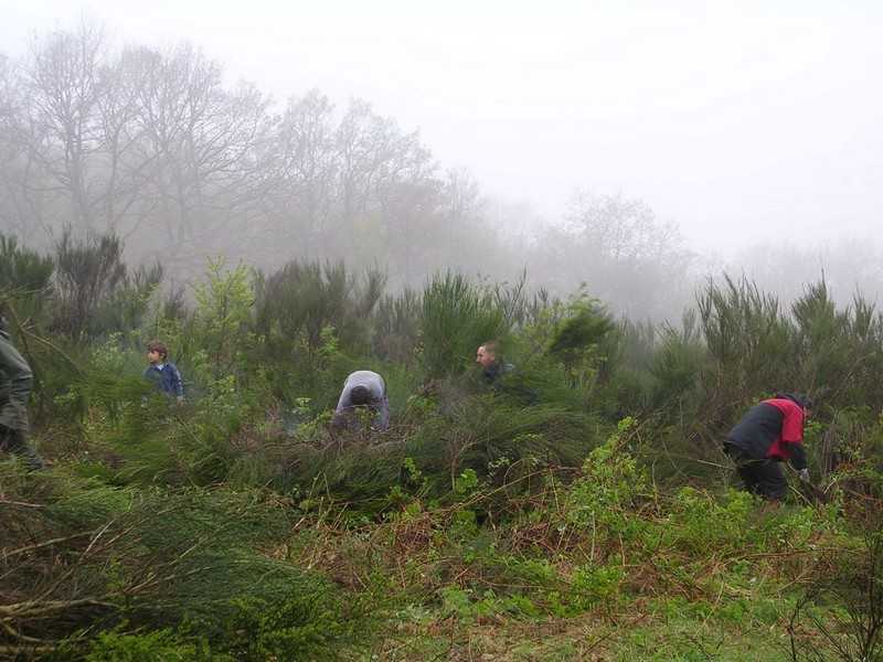 Enlarge DSCN6013.jpg