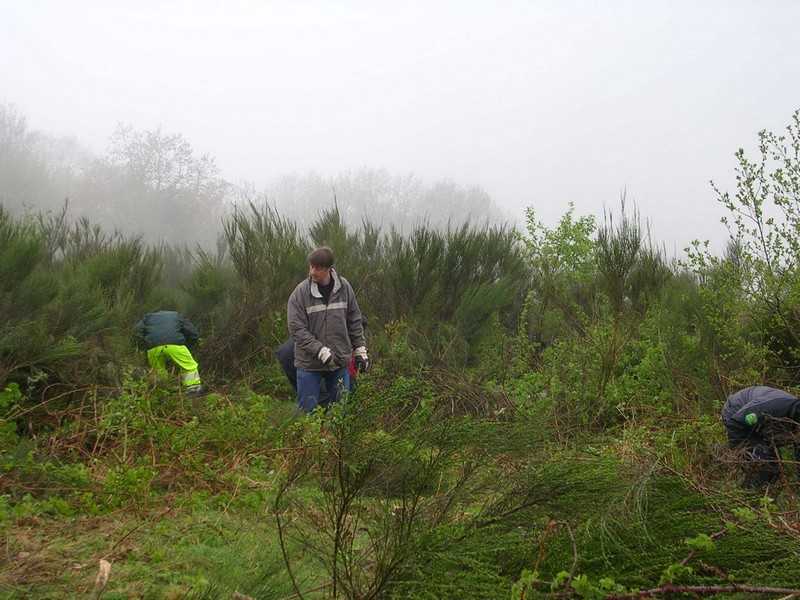 Enlarge DSCN6015.jpg