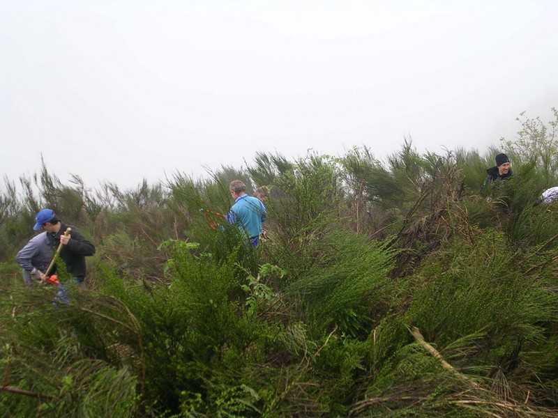 Enlarge DSCN6016.jpg