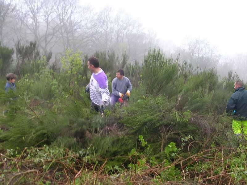 Enlarge DSCN6017.jpg